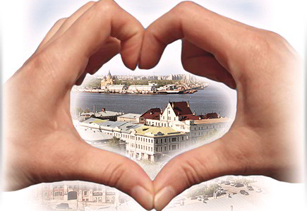 �����������