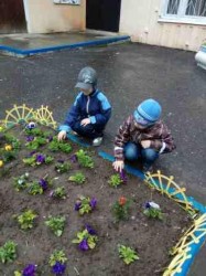 �����������