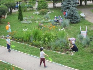 �����������